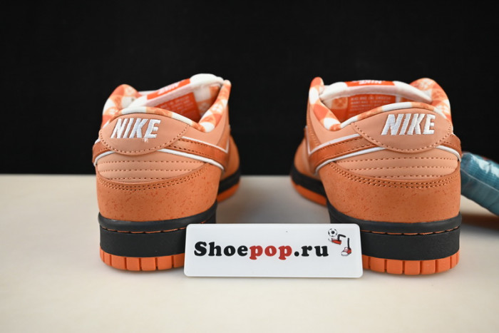nike sb dunk low concepts orange lobster fd8776-800