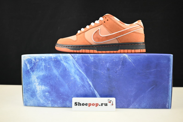 nike sb dunk low concepts orange lobster fd8776-800