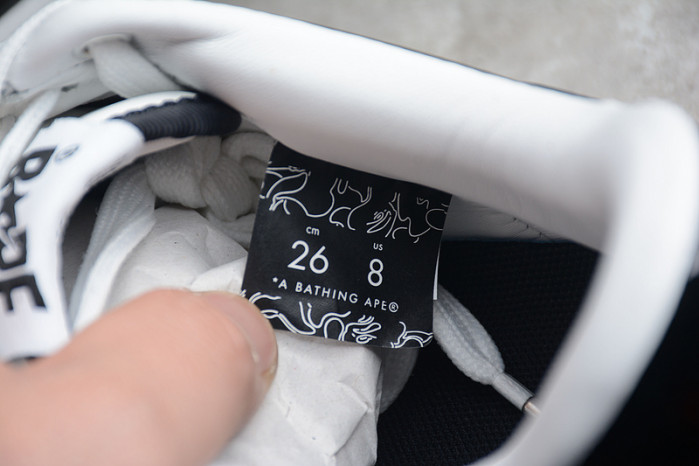 bathing ape a000022